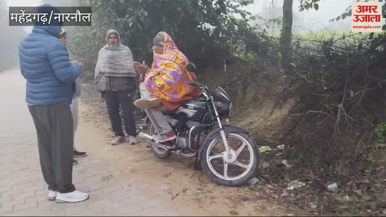 VIDEO : no relief from cold wave and fog in Mahindergarh yet