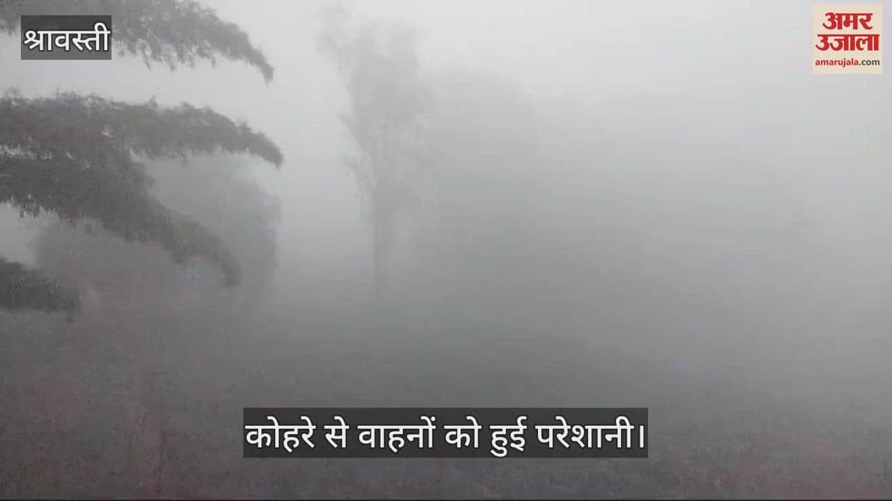 VIDEO : Shravasti: श्रावस्ती में फिर बिगड़ा मौसम, छाया रहा घना कोहरा