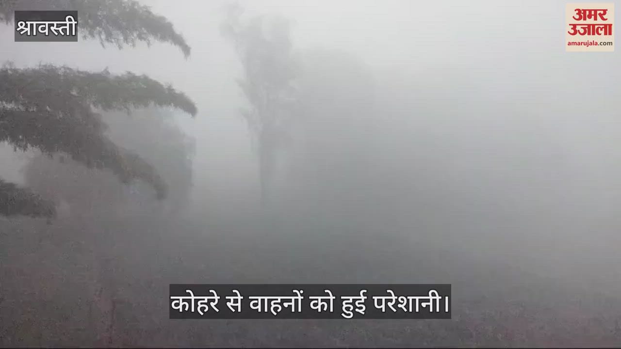 VIDEO : Shravasti: श्रावस्ती में फिर बिगड़ा मौसम, छाया रहा घना कोहरा