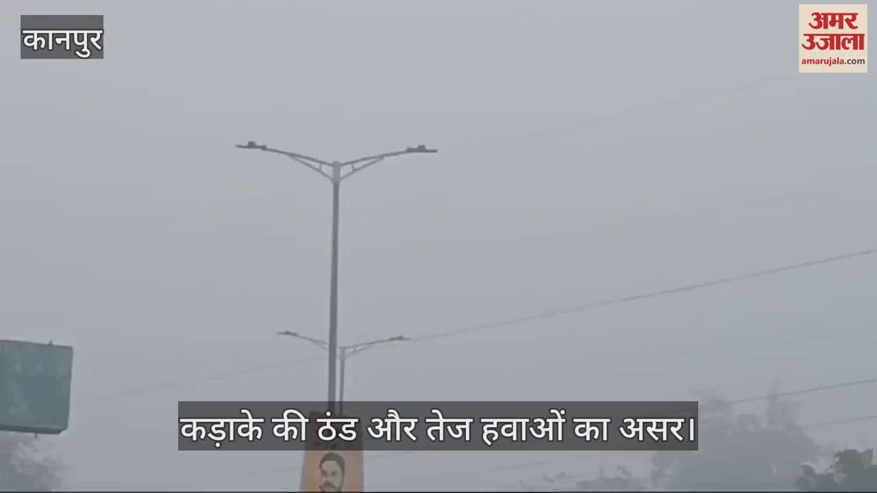 VIDEO : कानपुर में ठंड का कहर…चारों ओर फैली कोहरे की चादर, आवागमन अस्त-व्यस्त और शीतलहर से कांपे लोग