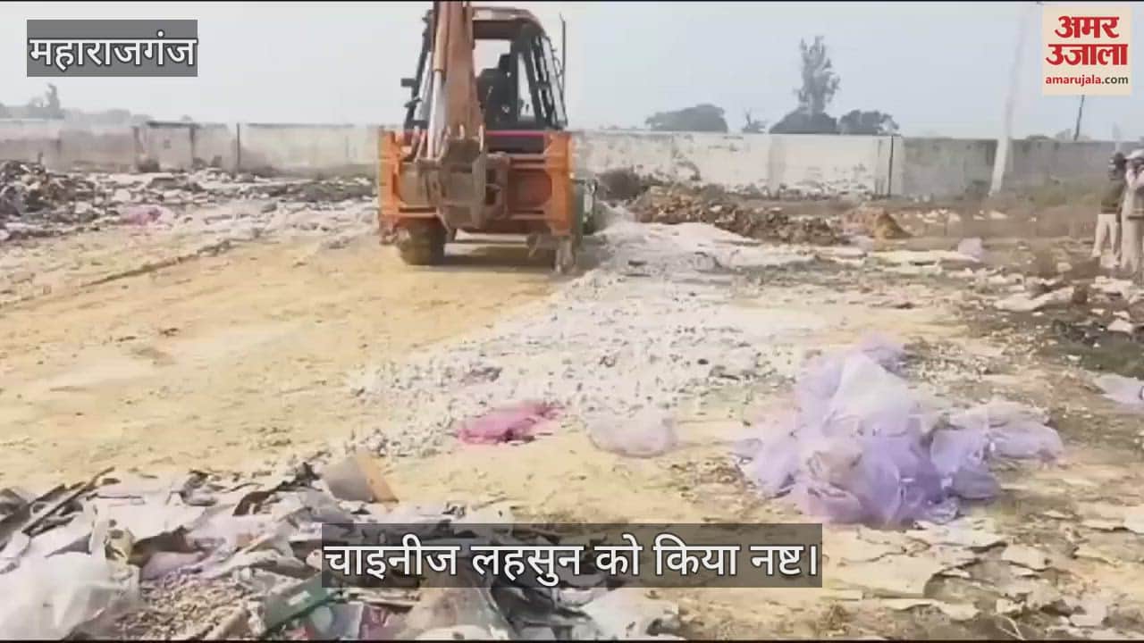 VIDEO : Nautanwa Customs caught Chinese garlic, destroyed it