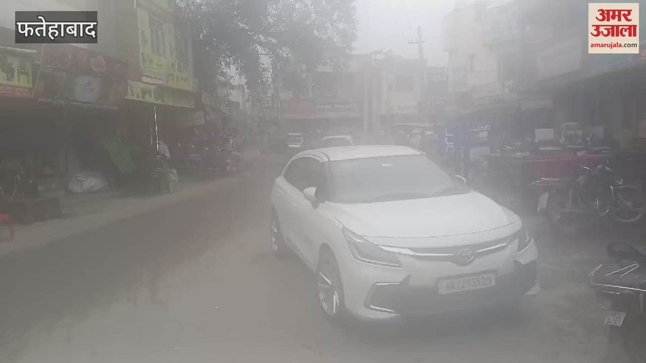 VIDEO : After a day of relief, fog again engulfed Fatehabad