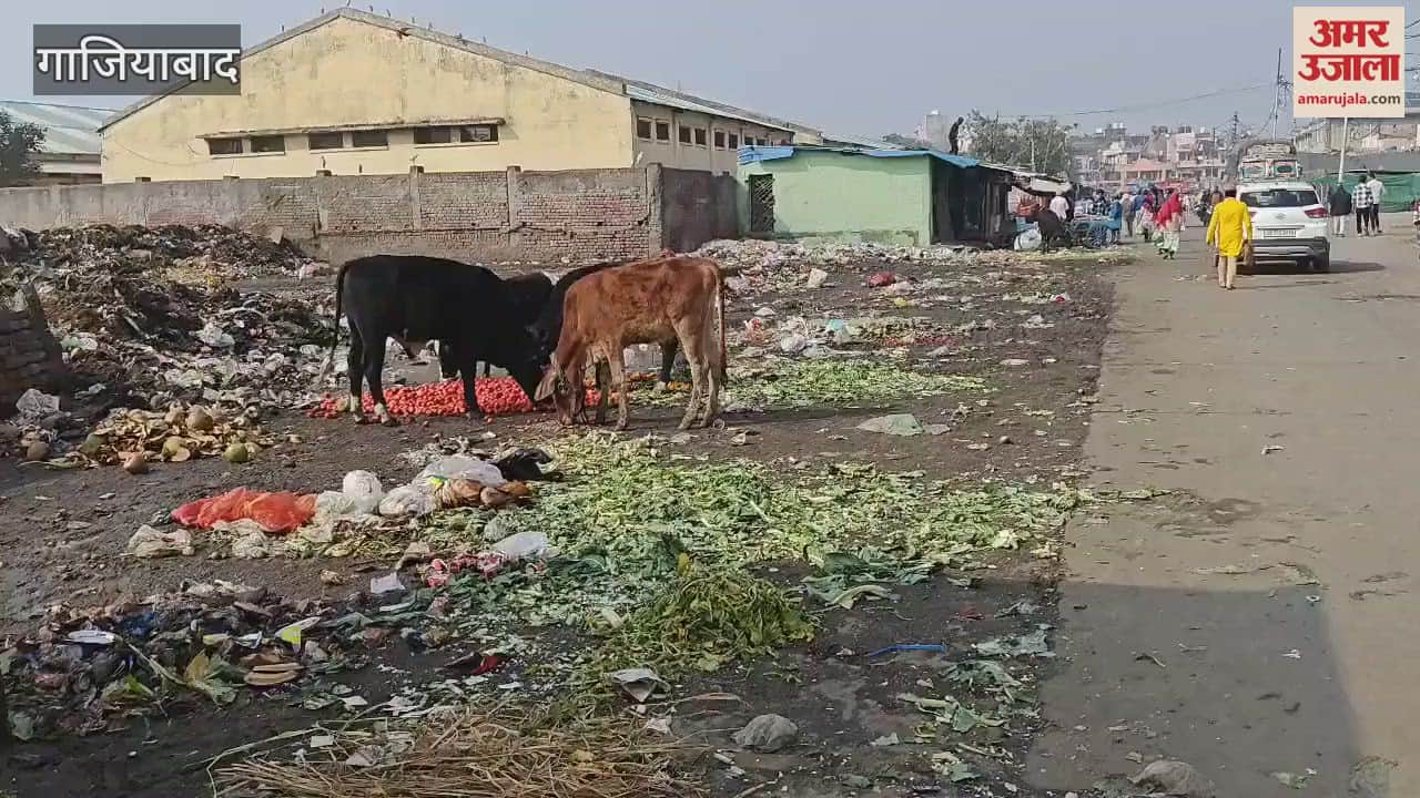 VIDEO : Even after spending lakhs, the cleanliness system in the market is not improving