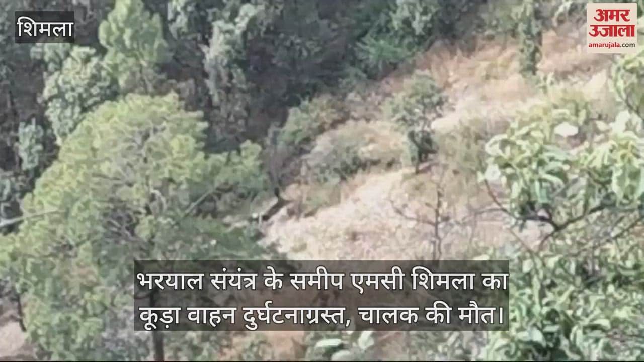 VIDEO : MC Shimla's vehicle met with an accident near Bharyal, driver died