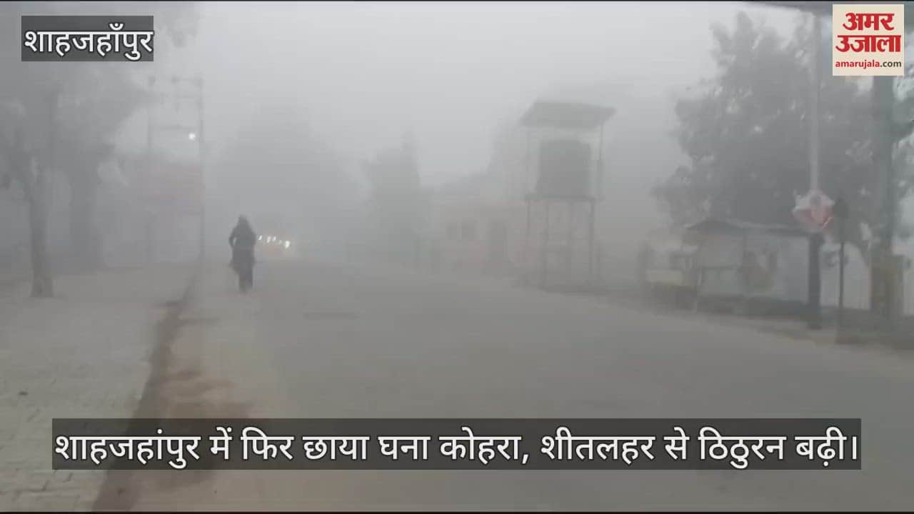 VIDEO : Dense fog cold wave increased the cold in Shahjahanpur