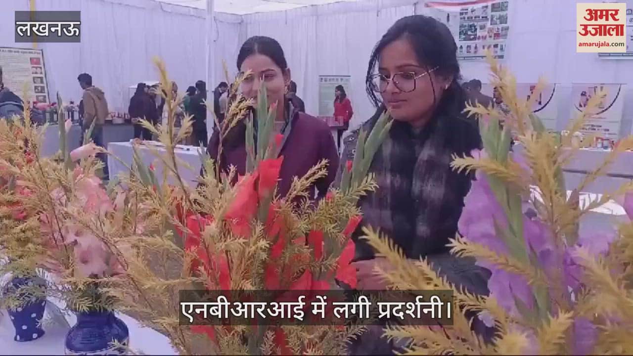VIDEO : Lucknow: एनबीआरआई में लगी गुलाब एवं ग्लेडियोस प्रदर्शनी, शामिल किए गए विभिन्न प्रकार के फूल
