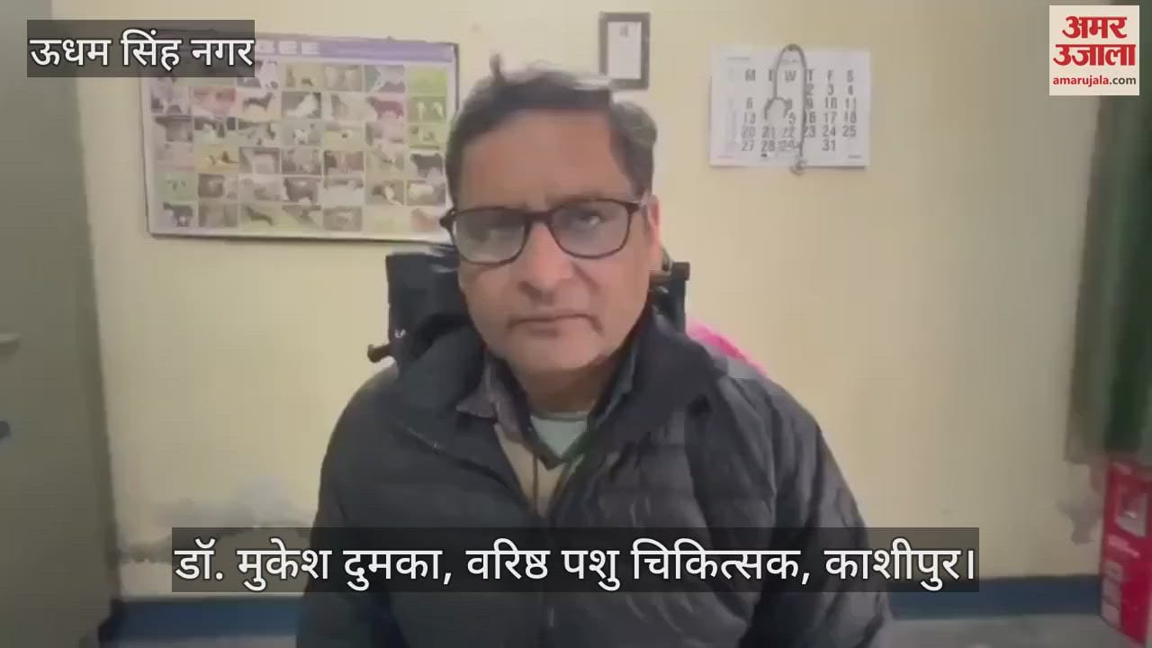 VIDEO : 20 हजार परिवारों में पशुगणना का कार्य पूरा