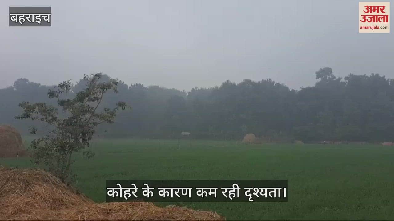 VIDEO : Bahraich: घने कोहरे के कारण कम रही दृश्यता, रेंगते नजर आए वाहन
