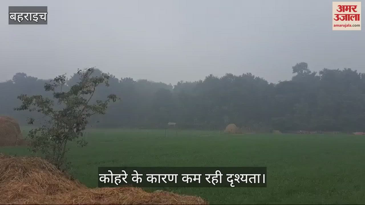 VIDEO : Bahraich: घने कोहरे के कारण कम रही दृश्यता, रेंगते नजर आए वाहन