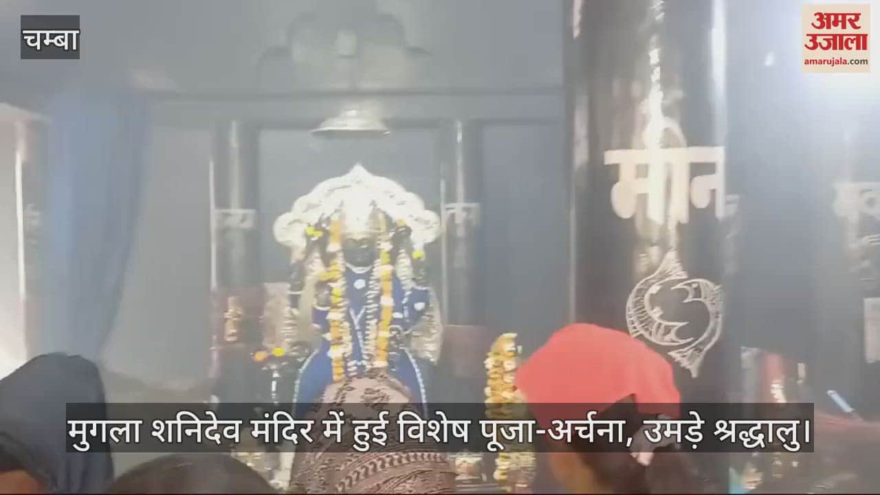 VIDEO : Special worship was done in Mughala Shanidev temple, devotees gathered in large numbers