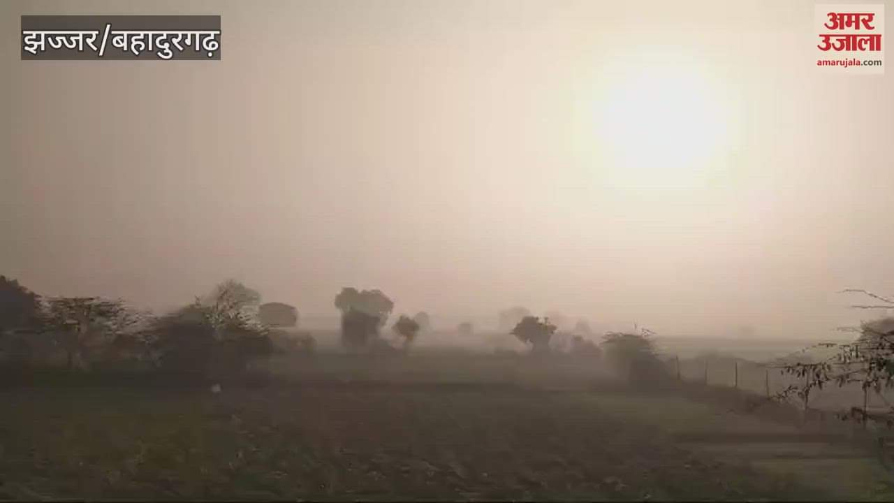 VIDEO : Weather of Jhajjar