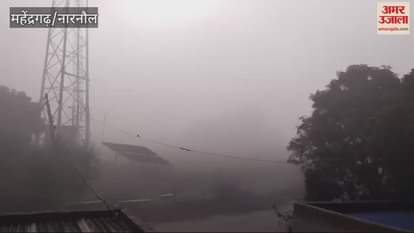 VIDEO : The morning sunshine brought relief in Mahendragarh