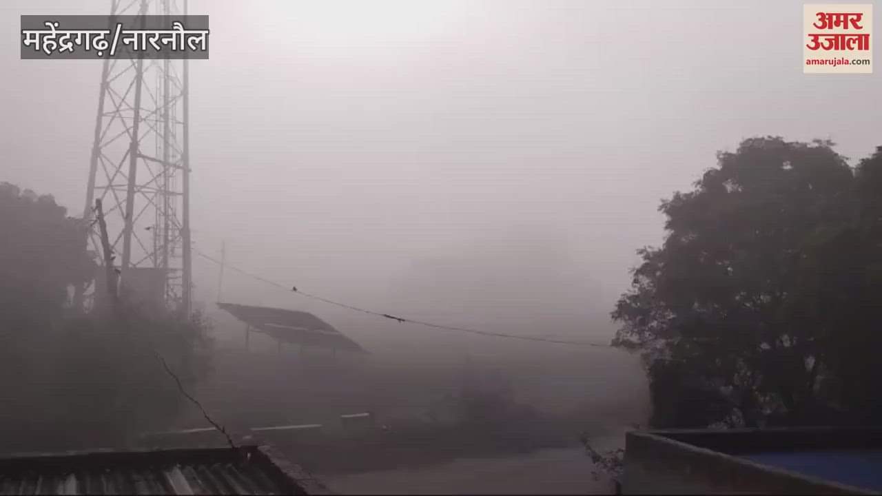 VIDEO : The morning sunshine brought relief in Mahendragarh