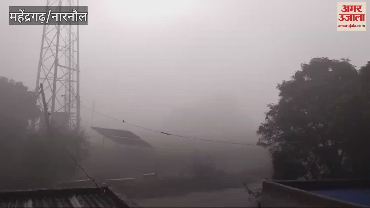 VIDEO : The morning sunshine brought relief in Mahendragarh