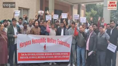 VIDEO : Hemophilia patients reached Panchkula to meet DG Health