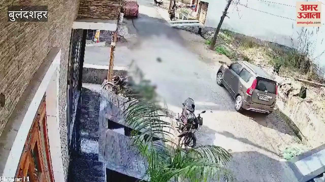 VIDEO : retired policeman crushed to death a dog sleeping in street In Bulandshahr