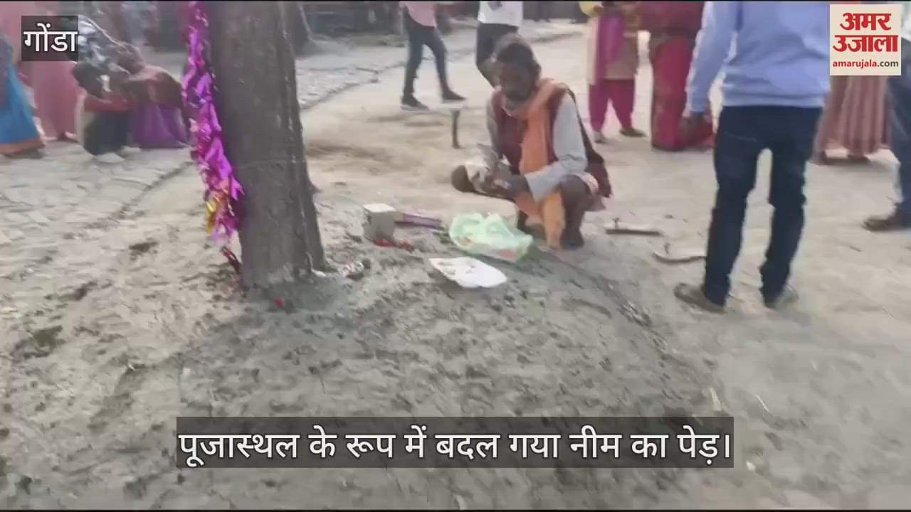 VIDEO : Gonda: नीम के पेड़ से अचानक निकलने लगी दूध की धारा, ग्रामीण बोले- माता शीतला ने दिया दर्शन