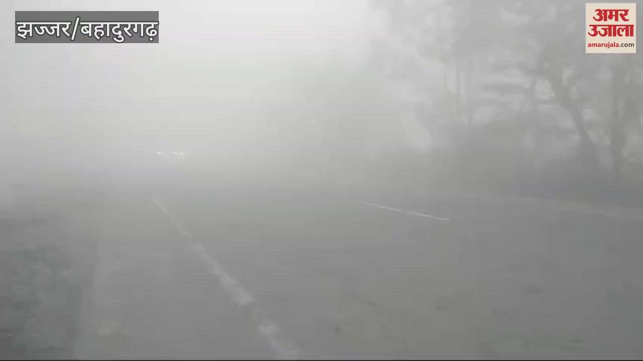 VIDEO : Fog in Jhajjar