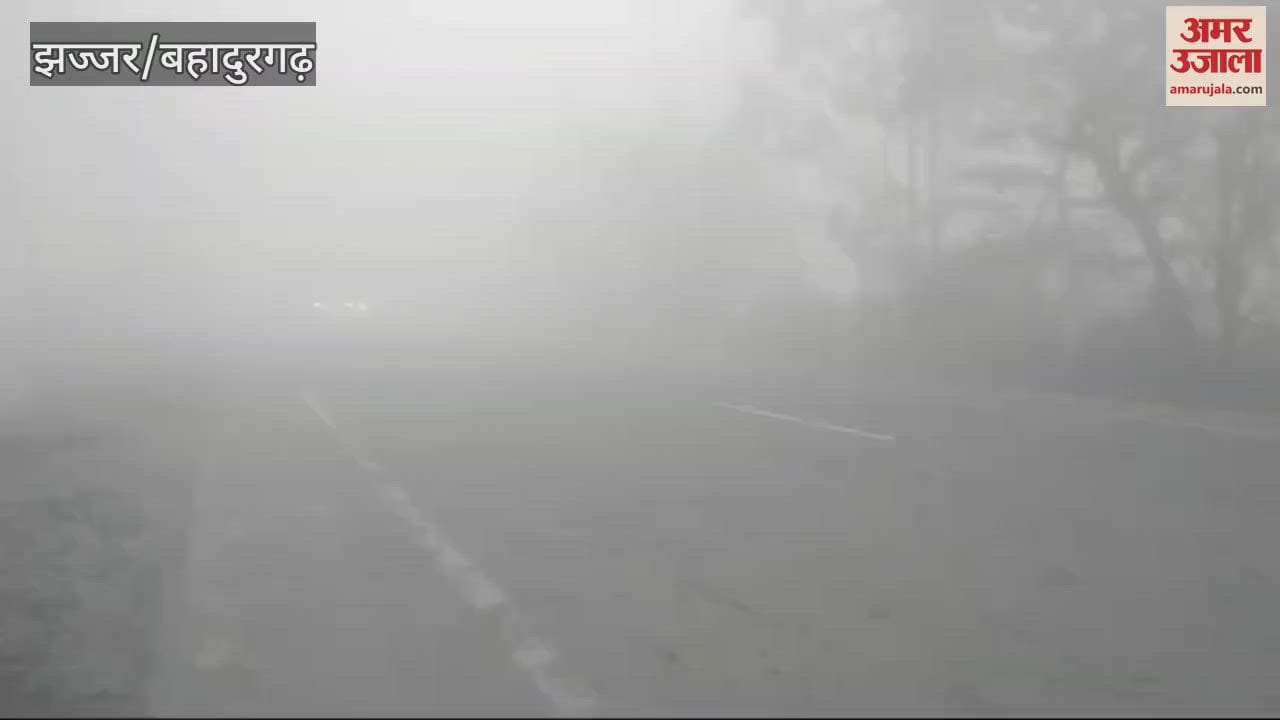 VIDEO : Fog in Jhajjar