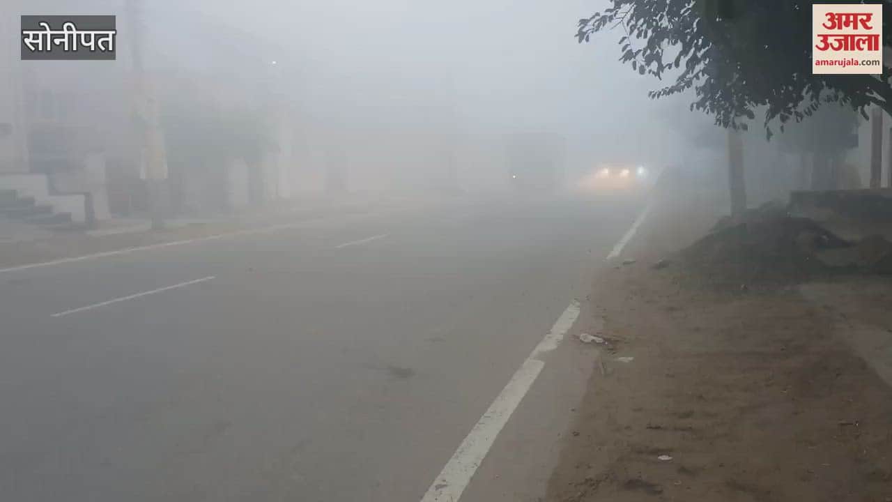 VIDEO : Fog in Sonipat