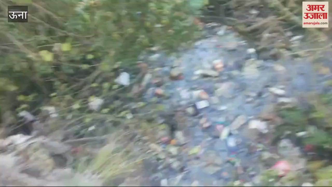 VIDEO : Piles of garbage near the bridge connecting Raunkhar between Talmehada and Sohari road