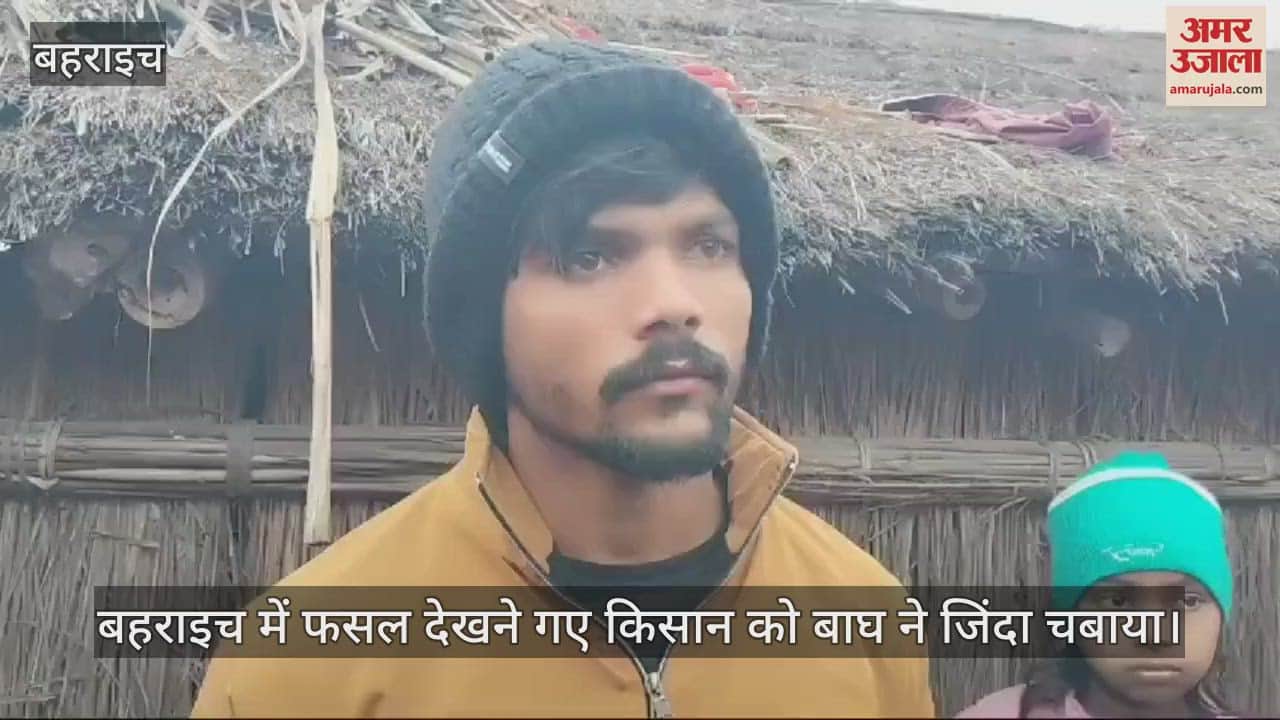 VIDEO : बहराइच में फसल देखने गए किसान को बाघ ने जिंदा चबाया