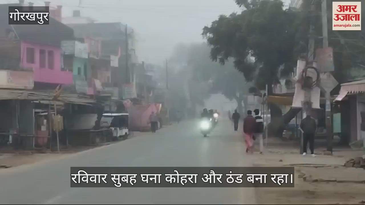 VIDEO : Dense fog and cold prevailed on Sunday morning