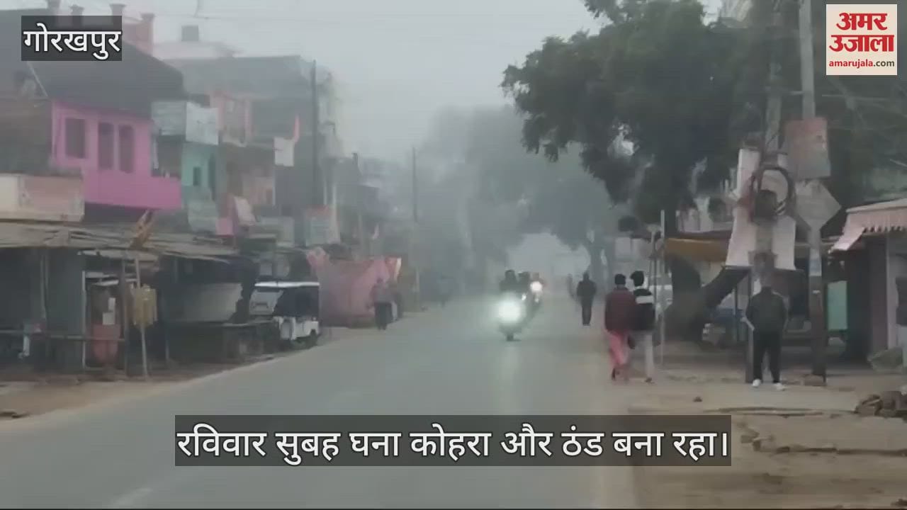 VIDEO : Dense fog and cold prevailed on Sunday morning