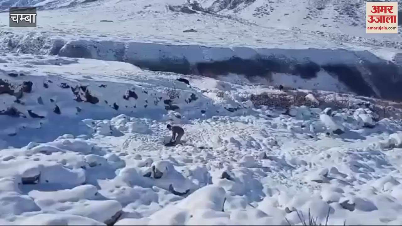 VIDEO : People of Murch village in Pangi are struggling for drinking water