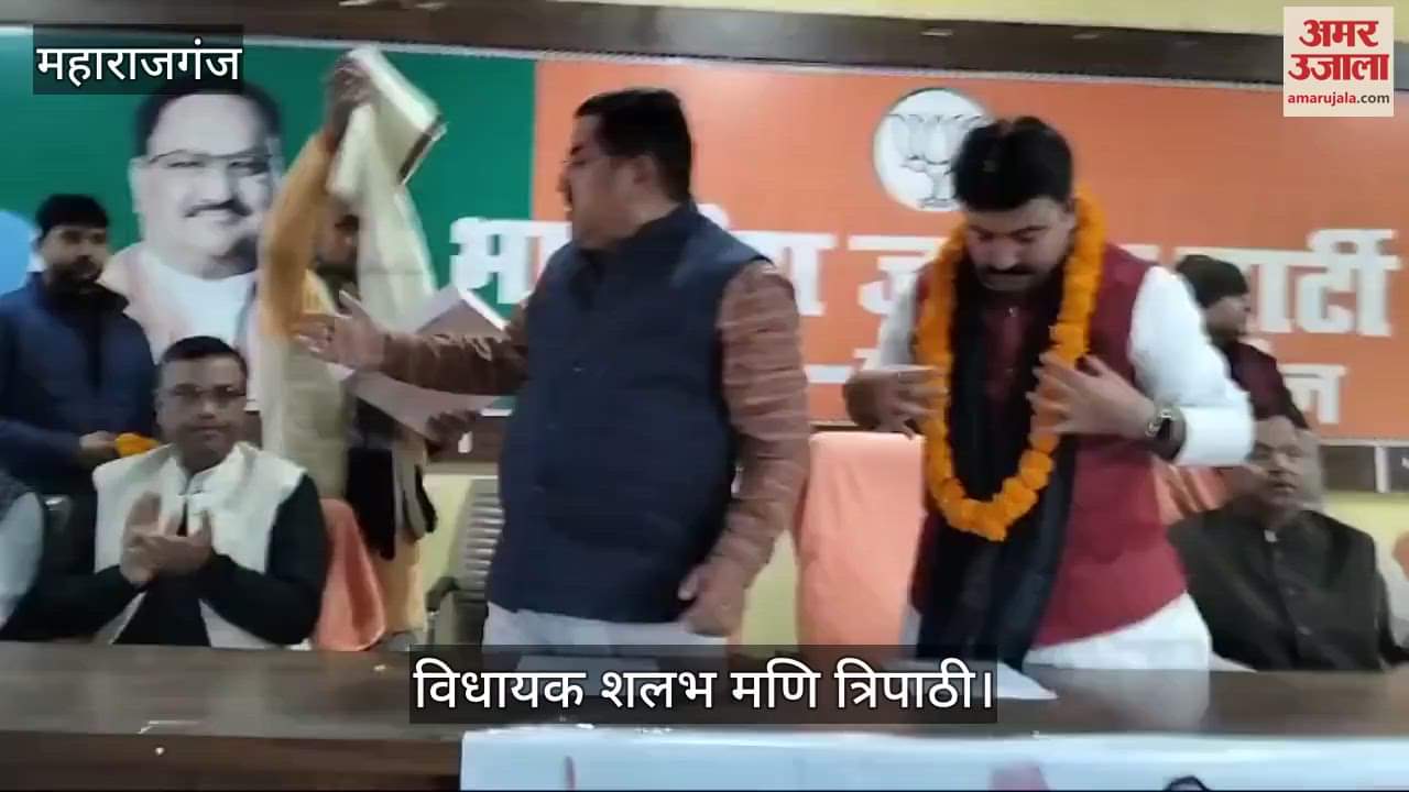 VIDEO : BJP gave real respect to Baba Saheb's Constitution
