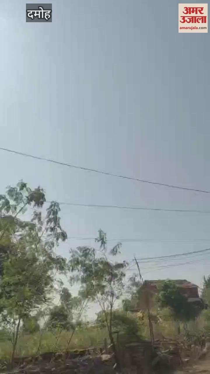 Damoh In Tendukheda, an airplane flying at a mere height from the ground became a subject of curiosity