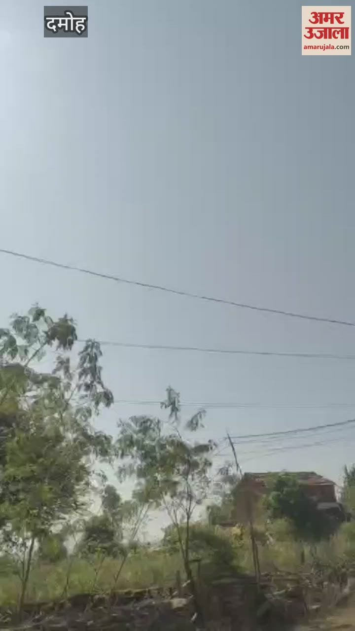Damoh In Tendukheda, an airplane flying at a mere height from the ground became a subject of curiosity