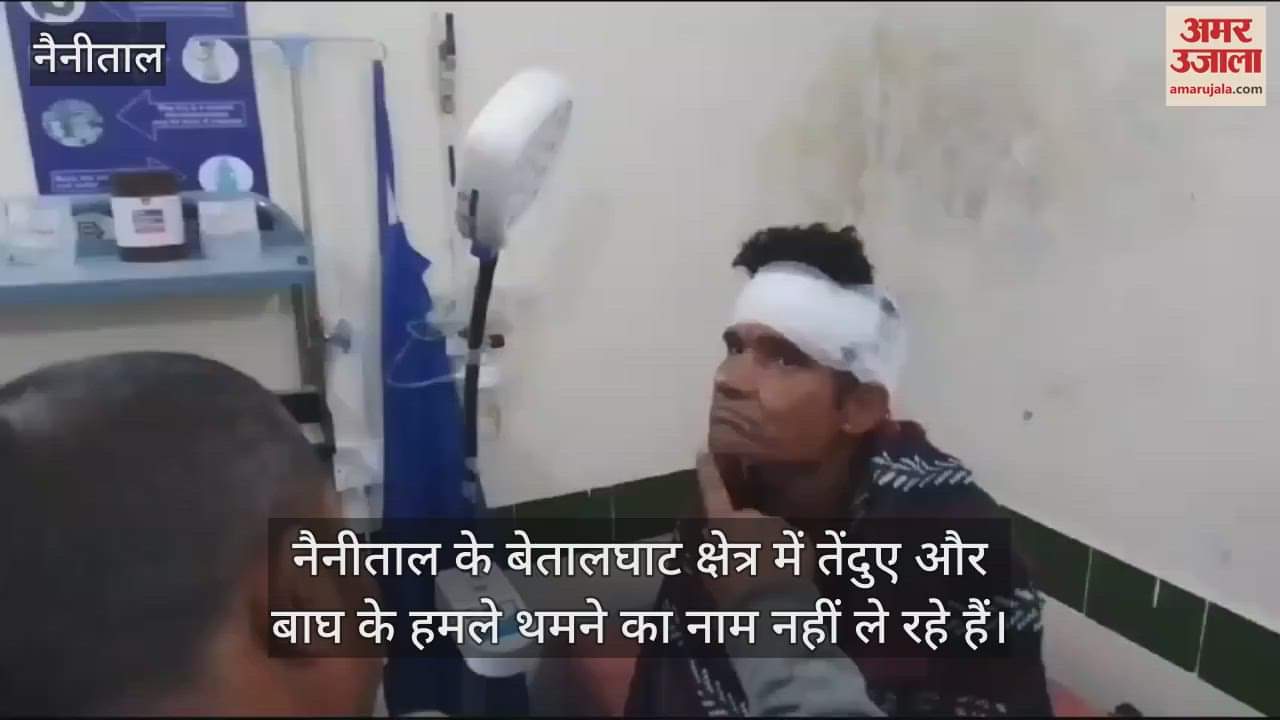 VIDEO : Leopard attacked a villager while grazing goats in fields in Betalghat Nainital