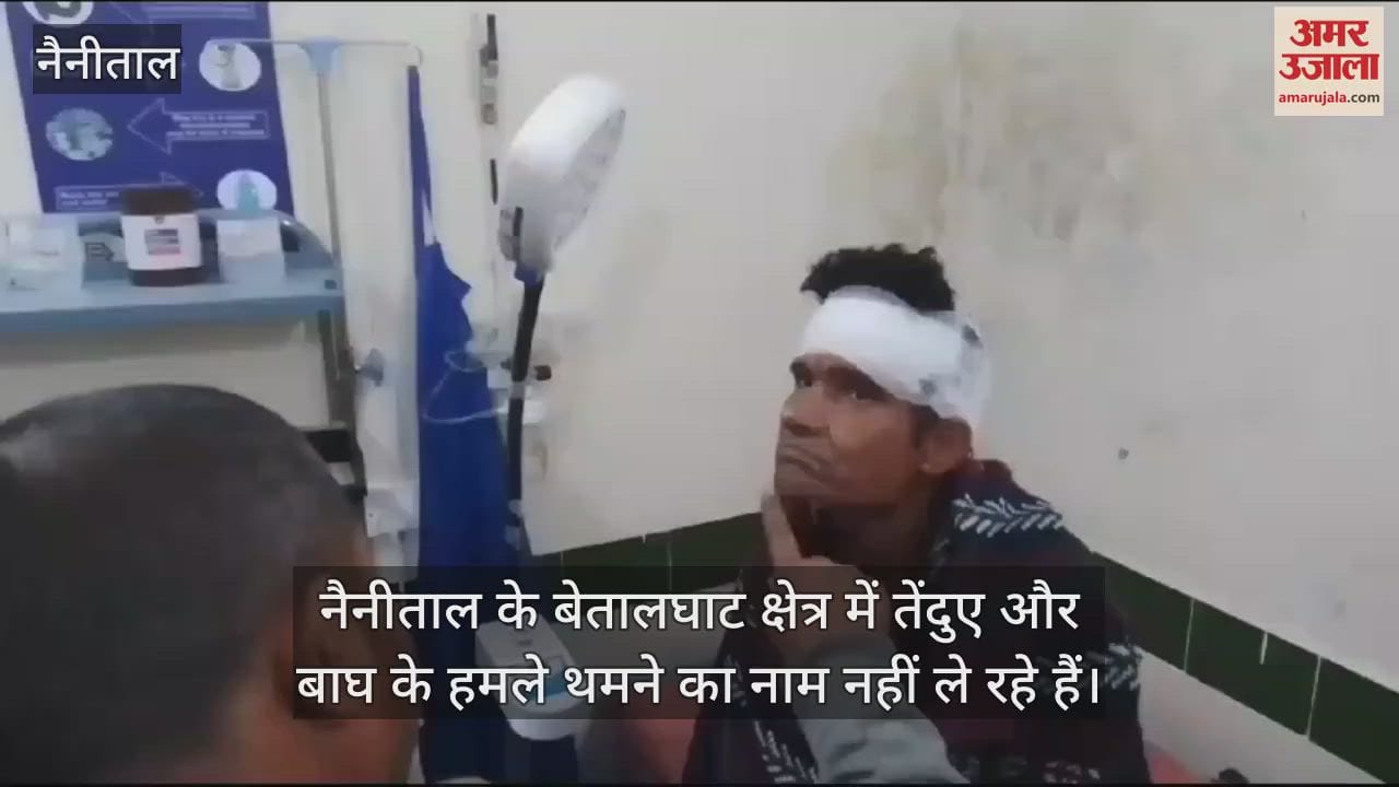 VIDEO : Leopard attacked a villager while grazing goats in fields in Betalghat Nainital