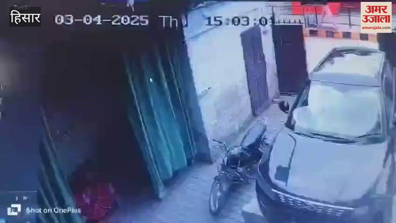 VIDEO : Animal fodder stall operator attacked by 5 masked men in Hisar, condition critical