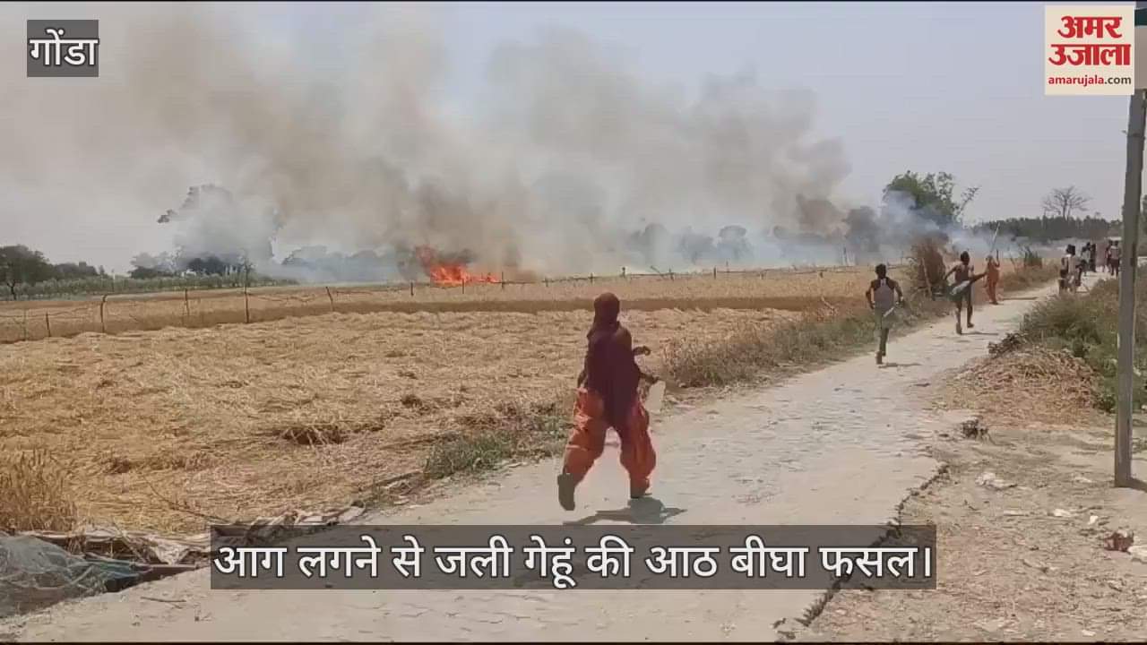 VIDEO : Gonda: गेहूं की फसल में लगी आग, बुझाने में झुलसा किशोर