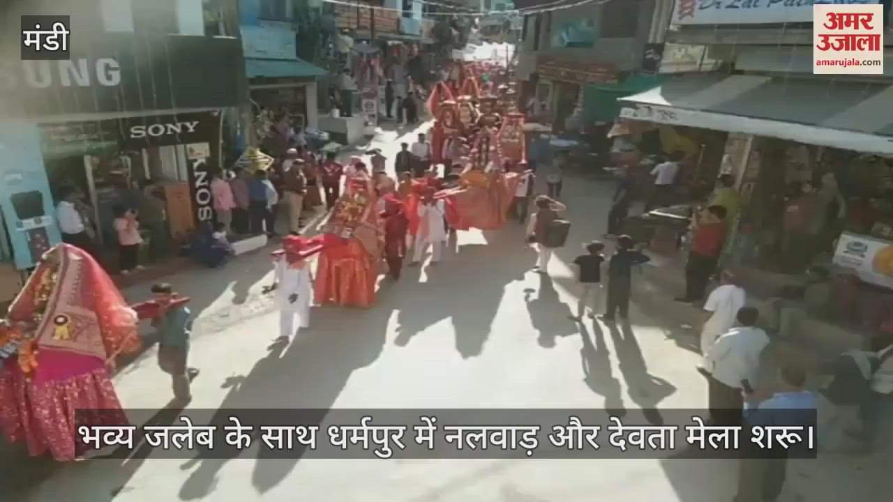 VIDEO : Nalvad and Devta fair started in Dharampur with grand procession