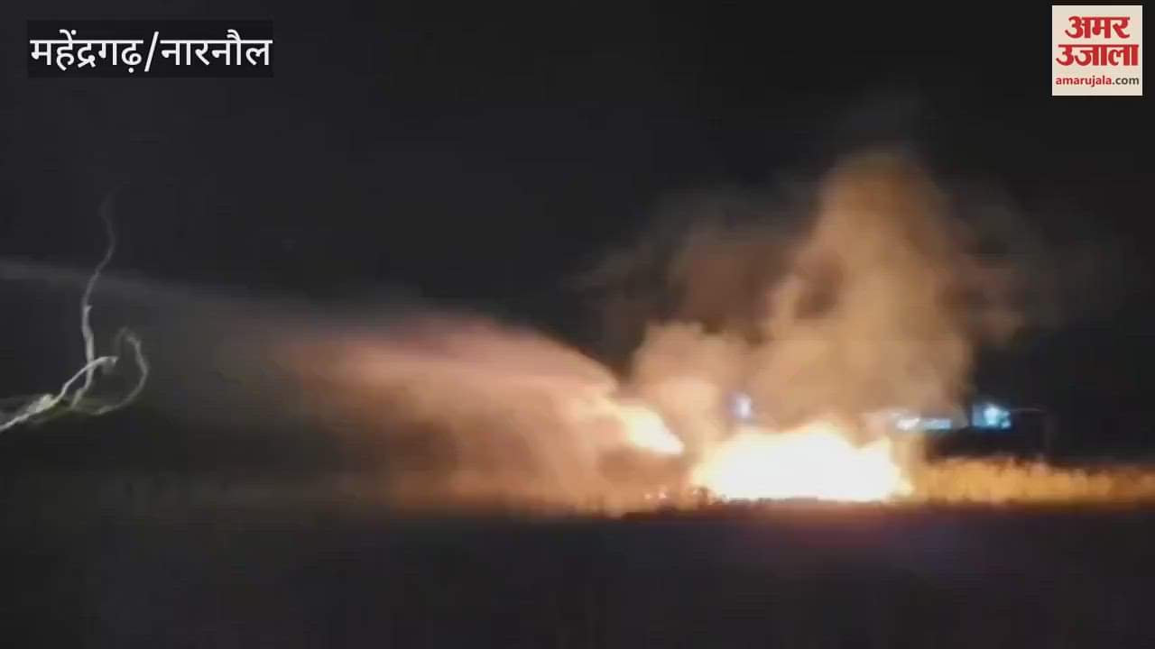 VIDEO : Two acres of mustard crop burnt to ashes in Amarpur Jorasi of Narnaul, fire brigade brought the fire under control