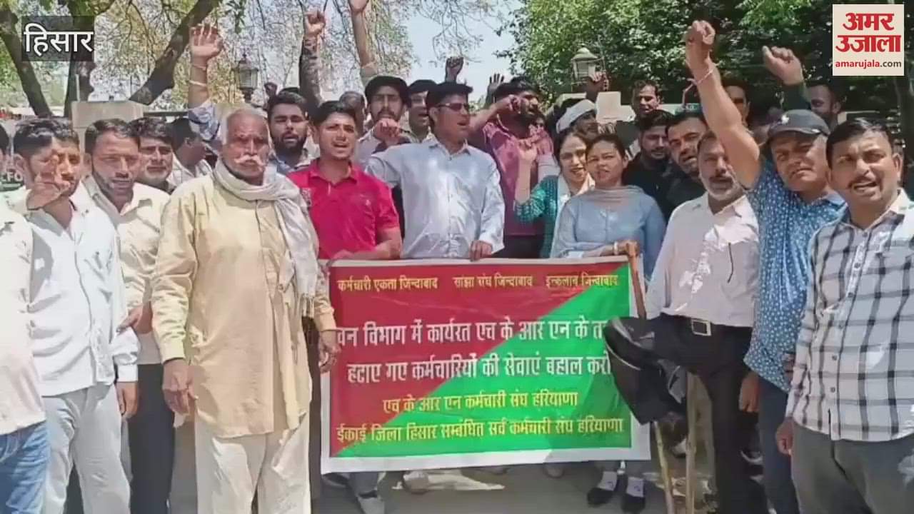 VIDEO : HKRN employees of Forest Department protested against being removed from job in Hisar