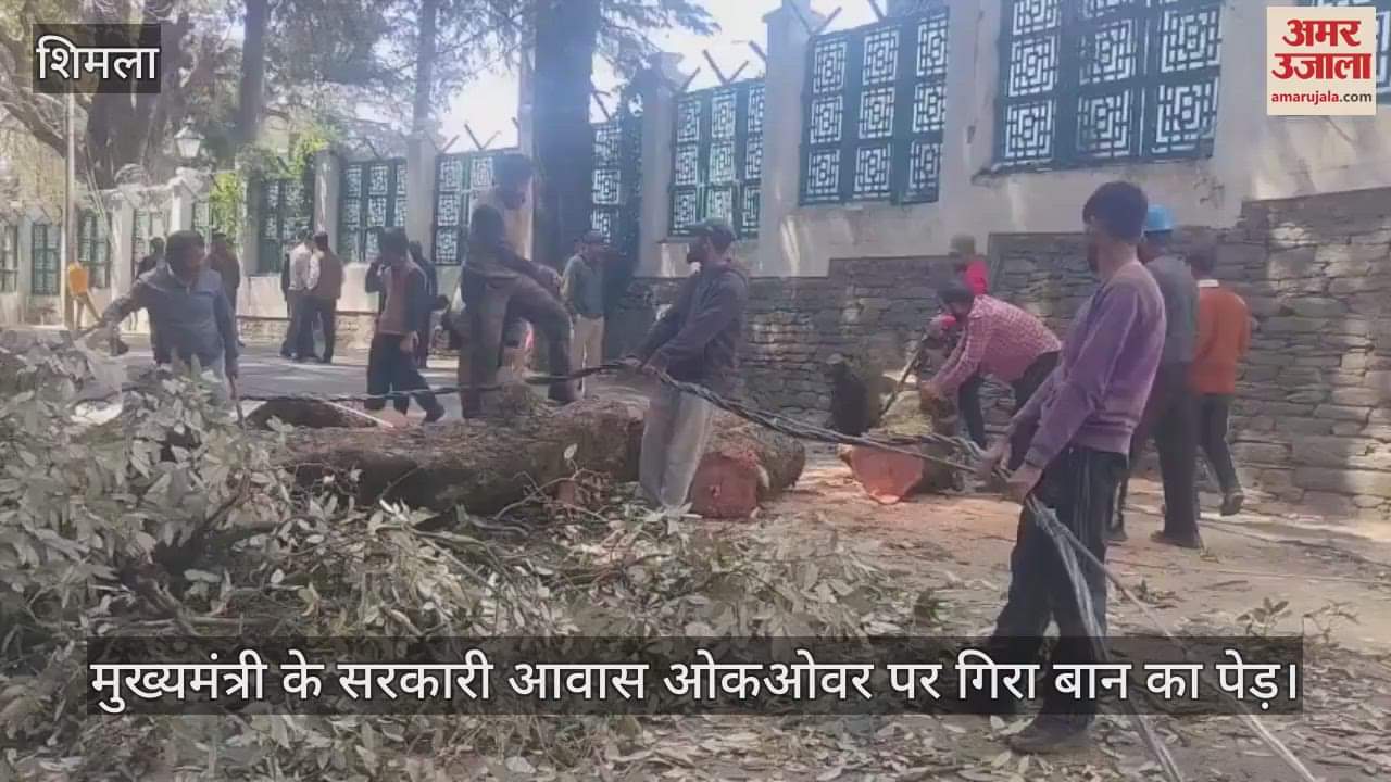 VIDEO : Baan tree fell on Chief Minister's official residence Oakover