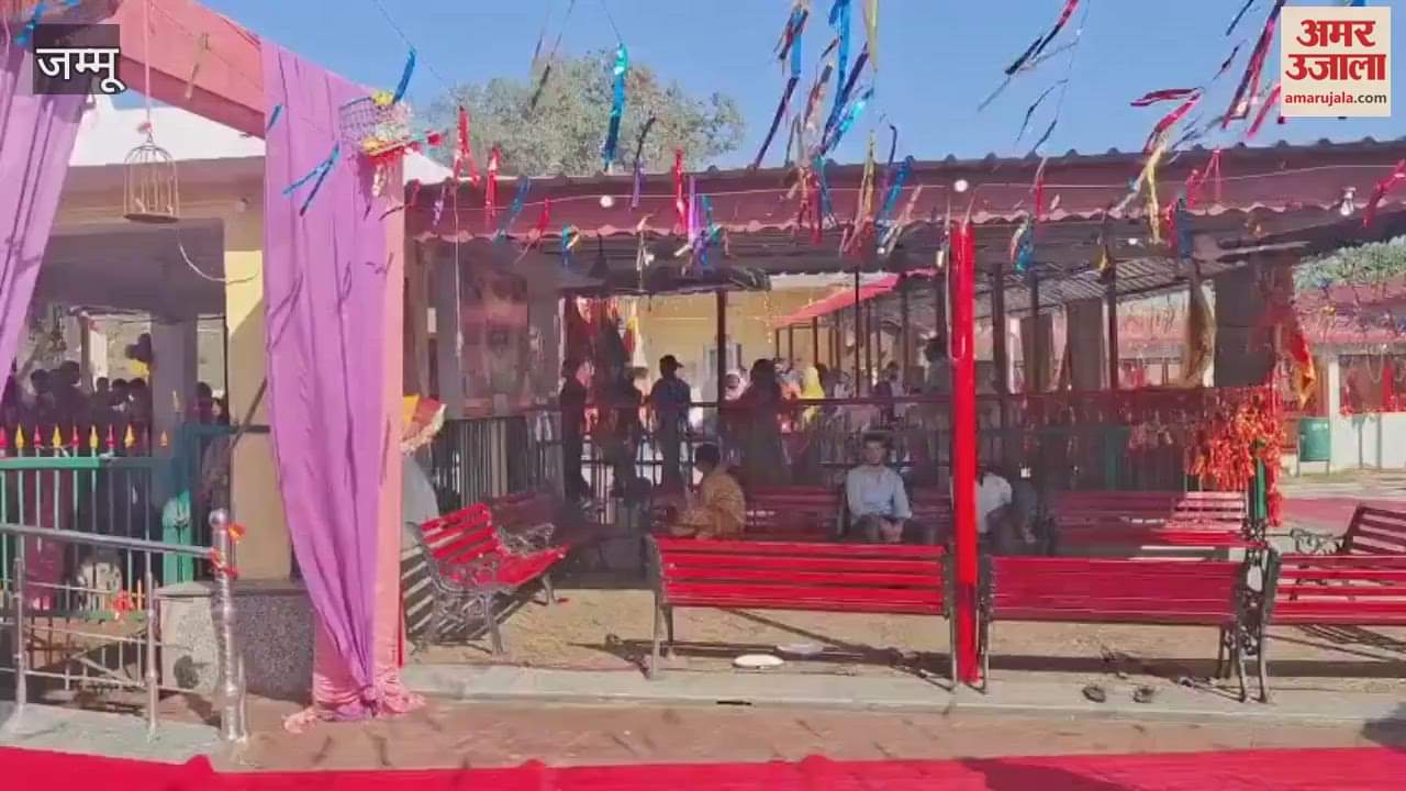 VIDEO : Devotees offered sweet betel leaves in the 250 year old Bave Wali Mata temple, wishes are fulfilled with the blessings of the mother