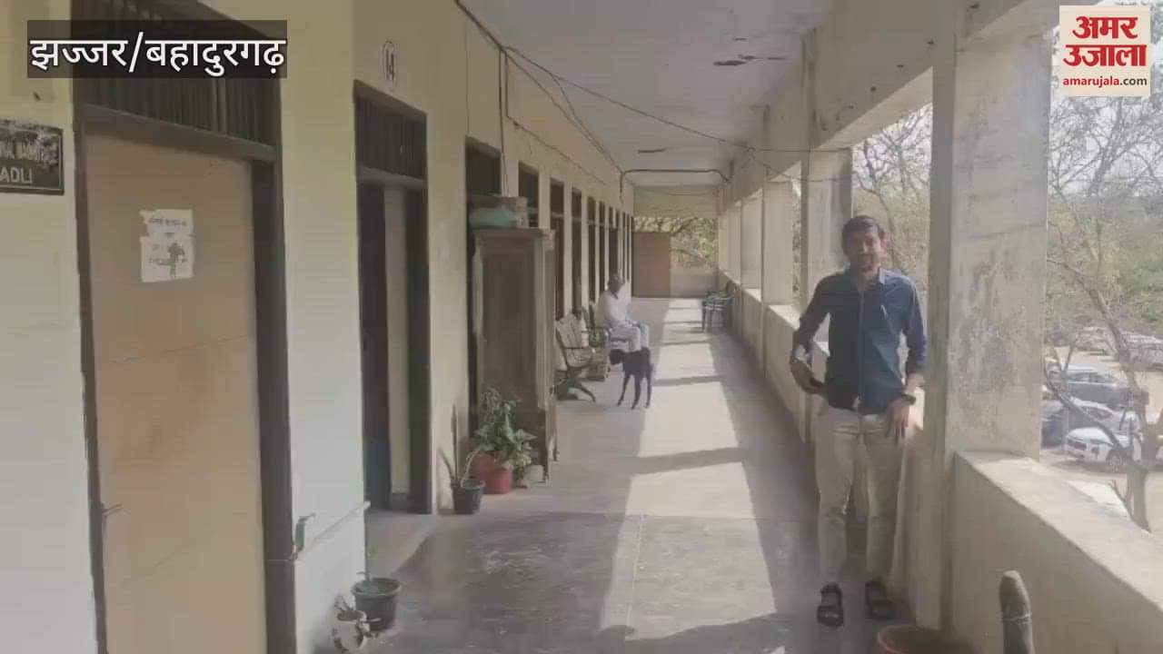 VIDEO : Stray animals roaming around in Bahadurgarh's Badli SDM and Tehsildar office, problem increased due to absence of cowcatcher