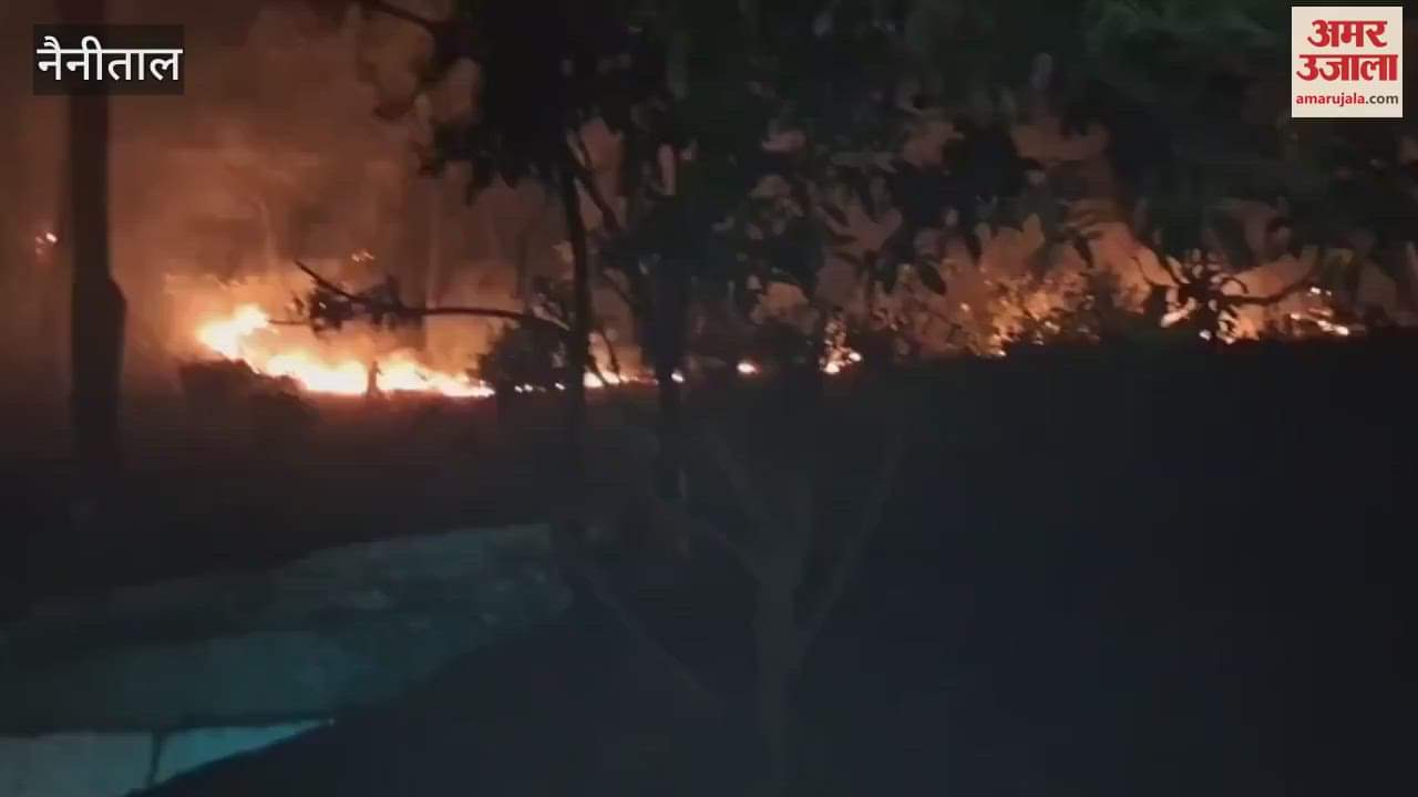 VIDEO : रानीबाग के जंगलों में लगी भीषण आग, बचते रहे वन अधिकारी