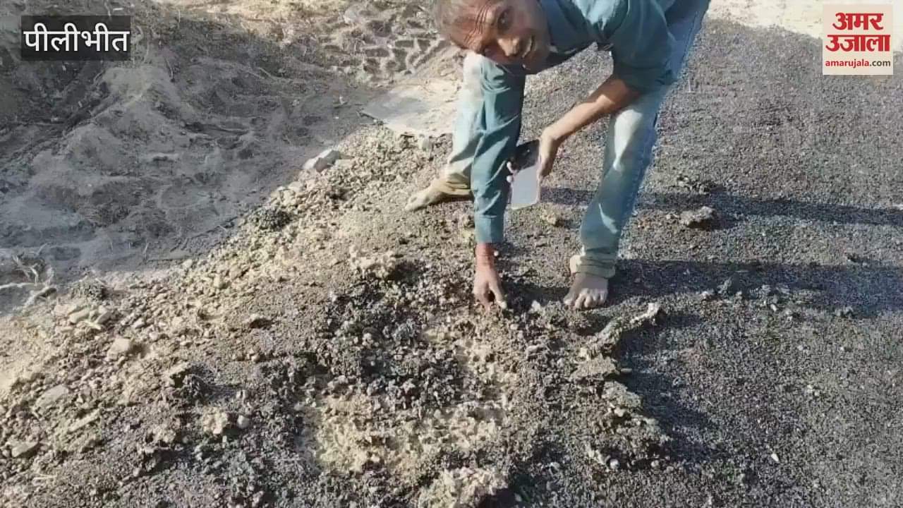 VIDEO : Under construction road in Pilibhit was uprooted by hand