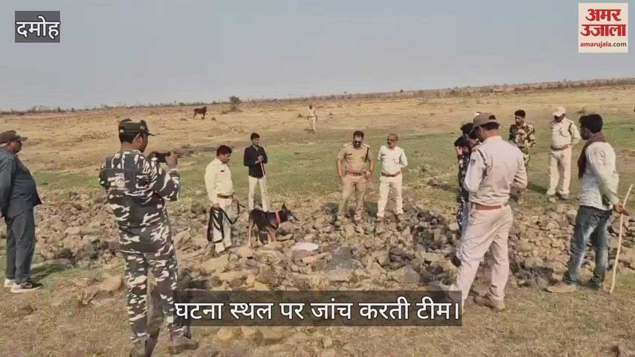 Hunted a female sambar