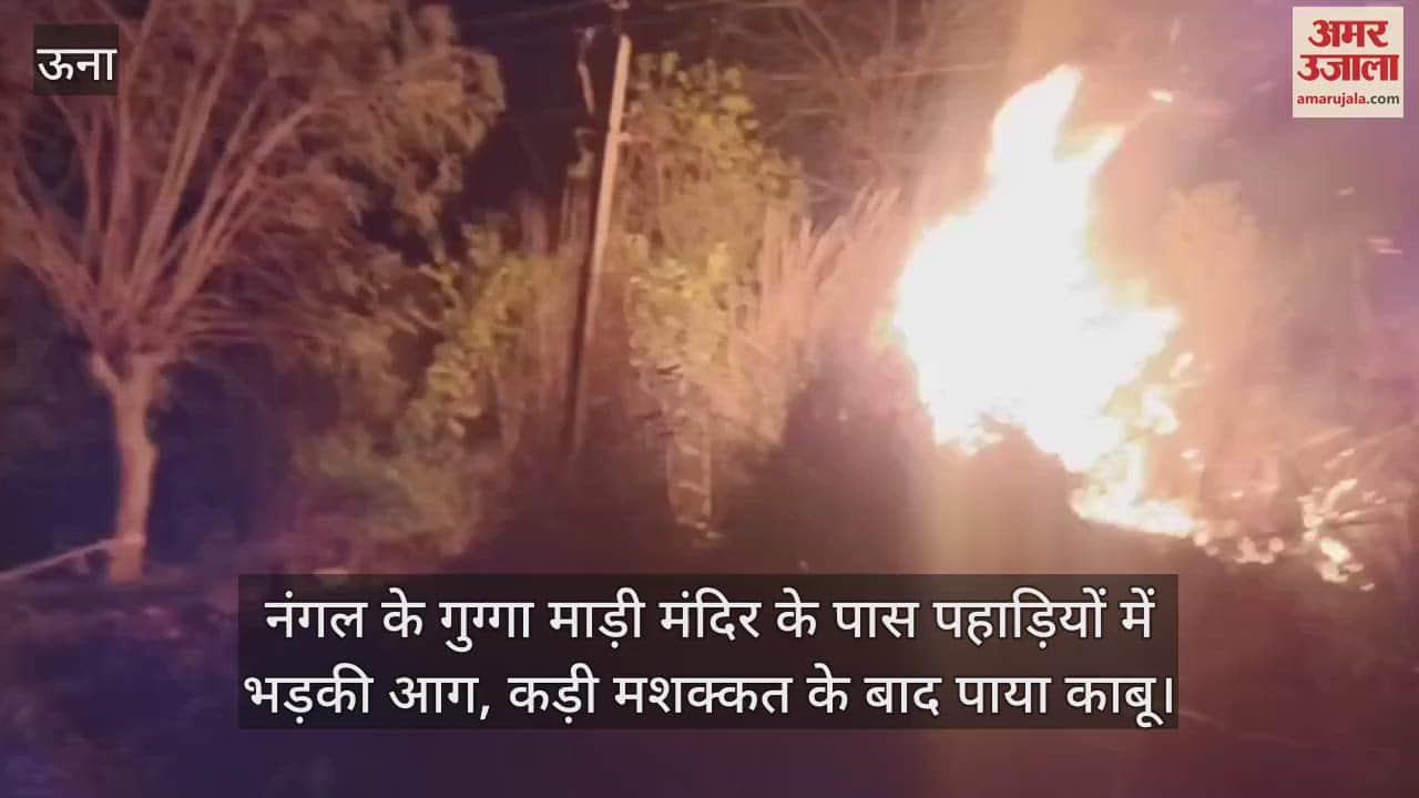 VIDEO : नंगल के गुग्गा माड़ी मंदिर के पास पहाड़ियों में भड़की आग, कड़ी मशक्कत के बाद पाया काबू