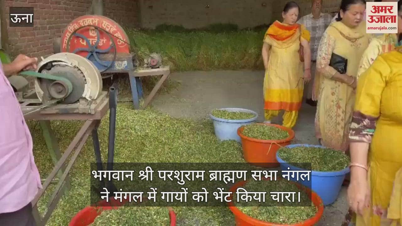 VIDEO : Lord Shri Parshuram Brahmin Sabha Nangal presented fodder to the cows on Tuesday