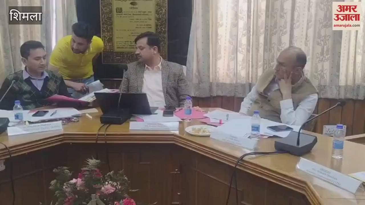 VIDEO : Auction process of 133 liquor shops for 31 units of Shimla district started