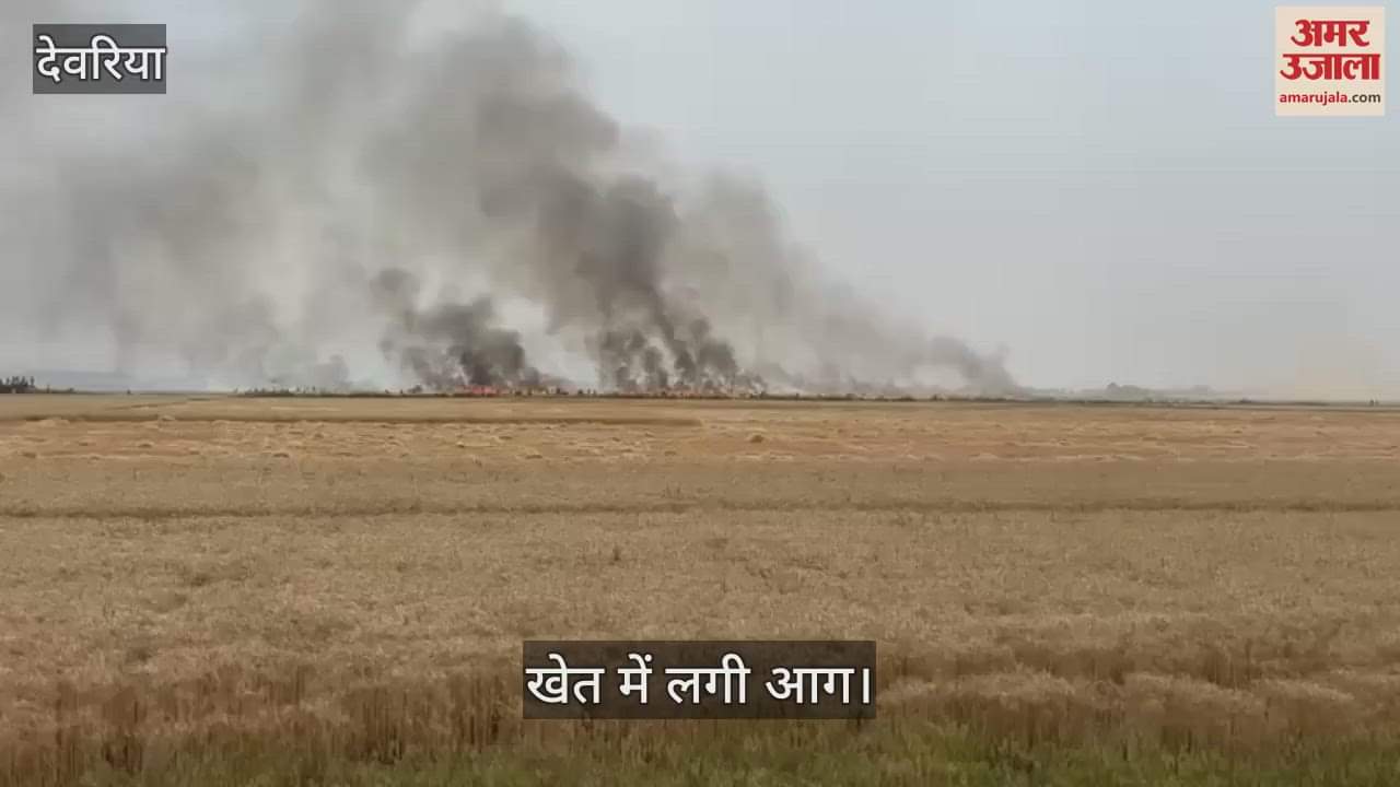 VIDEO : Fire broke out in wheat field in Doaba's Sareh
