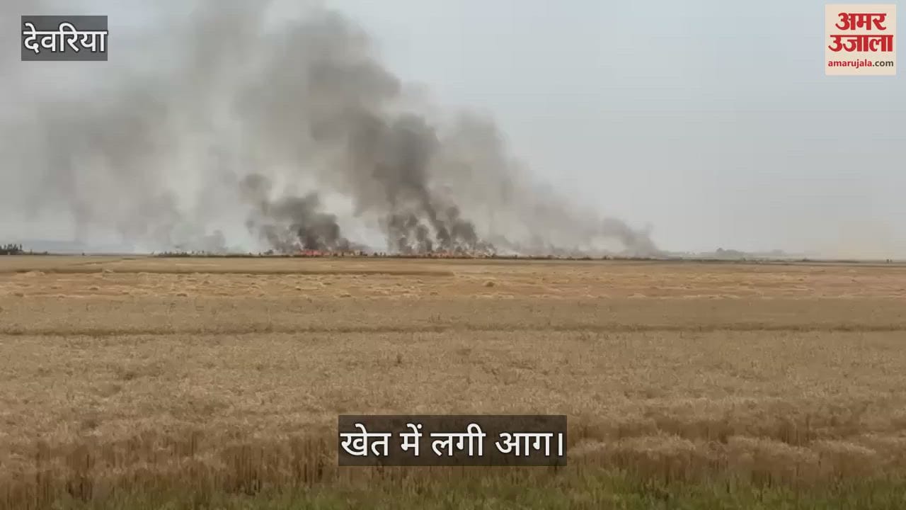 VIDEO : Fire broke out in wheat field in Doaba's Sareh
